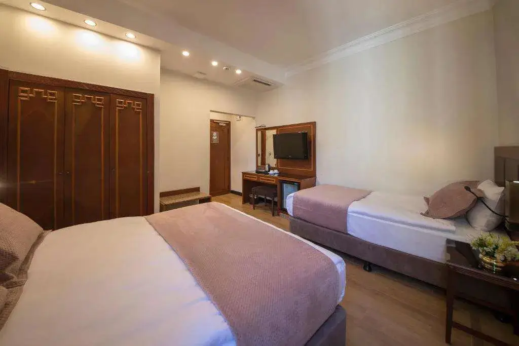 Стамбул: Vardar Palace Hotel - Special Class