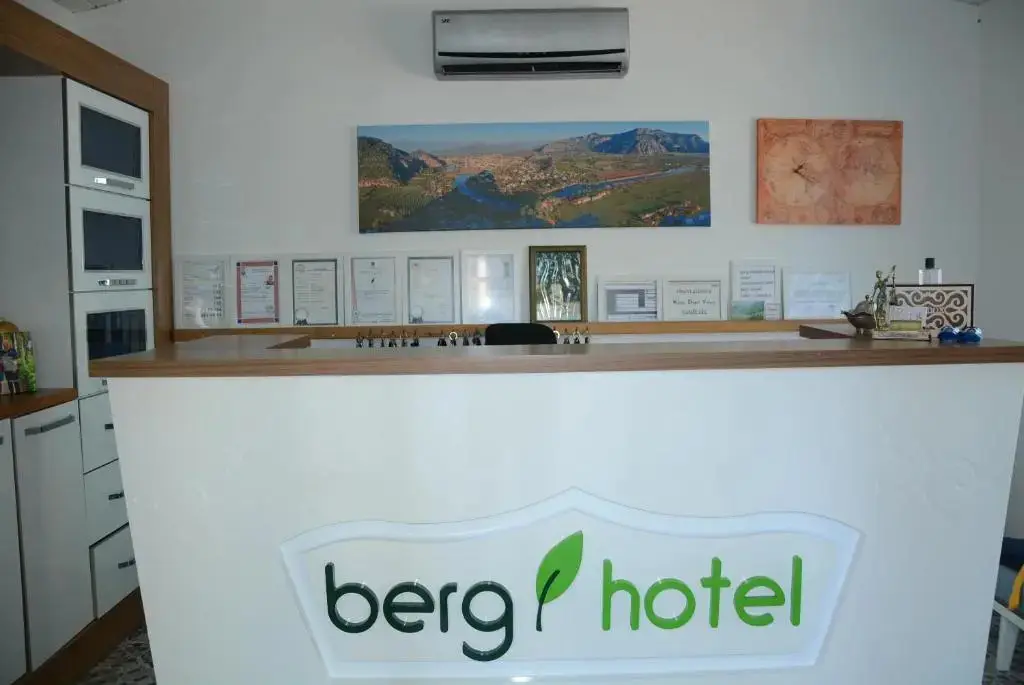 Дальян: Berg Hotel