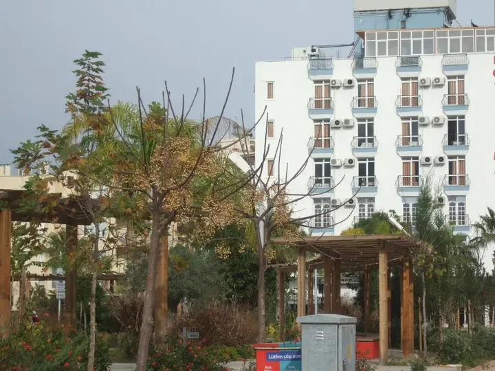 Анталья: Suntalia Hotel