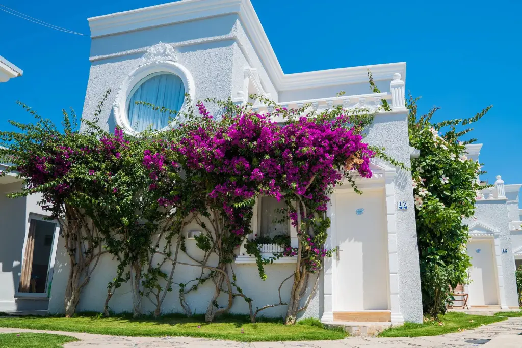 Art Suites Hotel Bodrum — фото 1