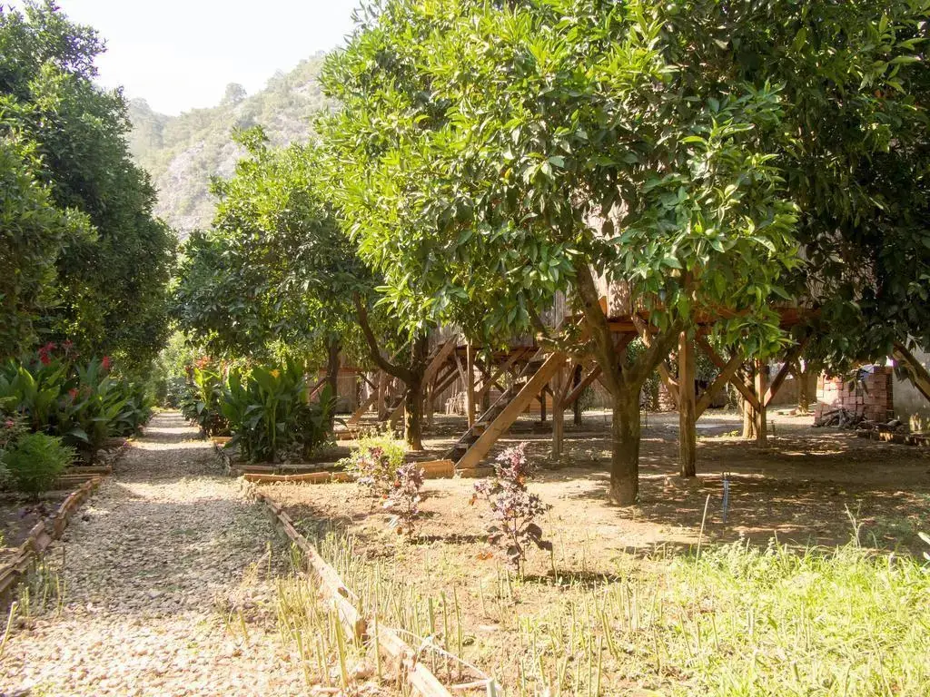 Кумлуджа: Saban Tree Houses