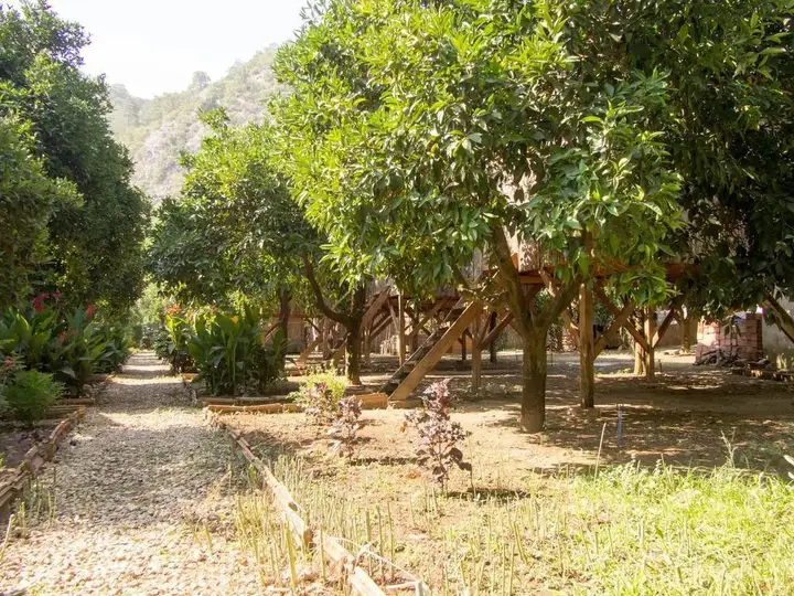 Кумлуджа: Saban Tree Houses