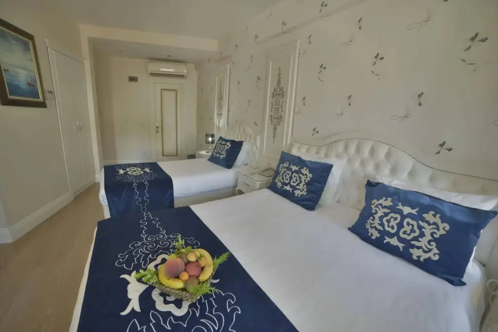 Стамбул: Sarnic Premier Hotel - Special Class