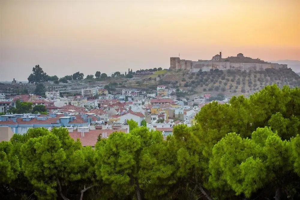 Сельчук: Ephesus Hillside
