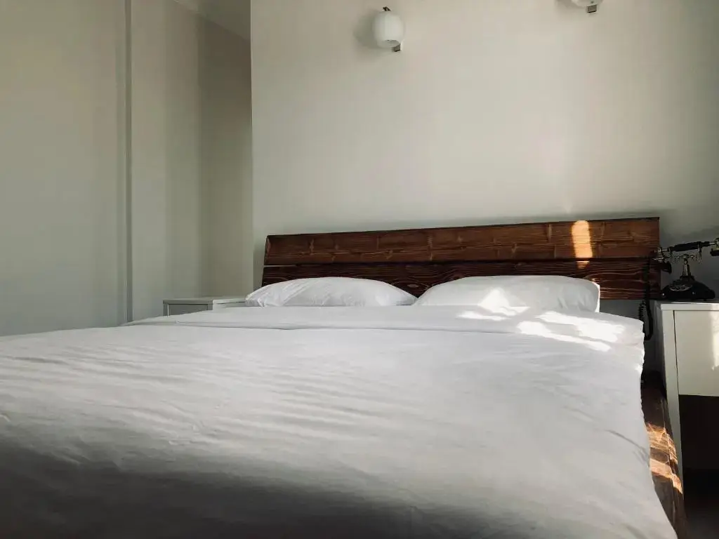 Айвалык: Hotel Erol