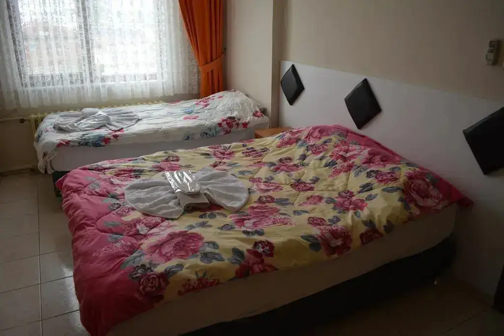 Эдремит: Gure Paris Hotel