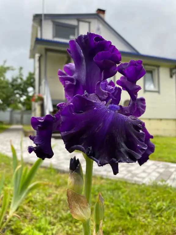 Хиттолово: Prosto Horoshaya Dacha House
