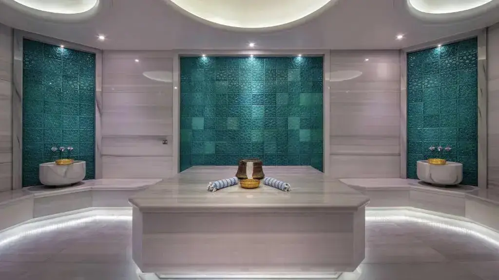 Стамбул: Отель Hilton Istanbul Maslak