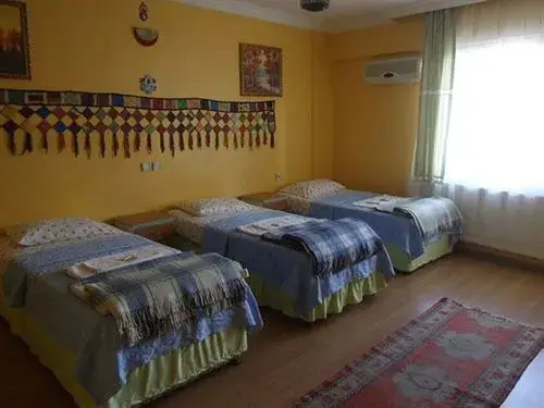 Сельчук: Efes Antik Hotel