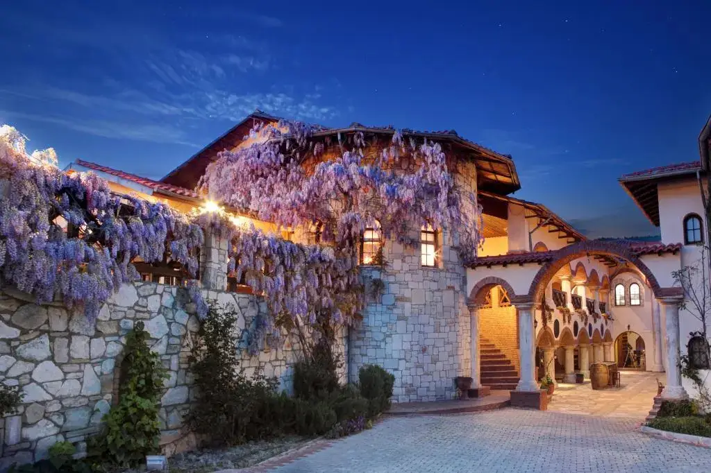 Vinifera Vineyards Hotel — фото 1