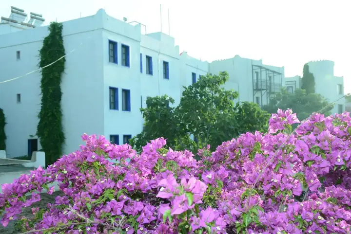 Бодрум: Bodrum Park Hotel