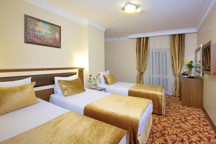 Стамбул: Grand Anatolia Hotel
