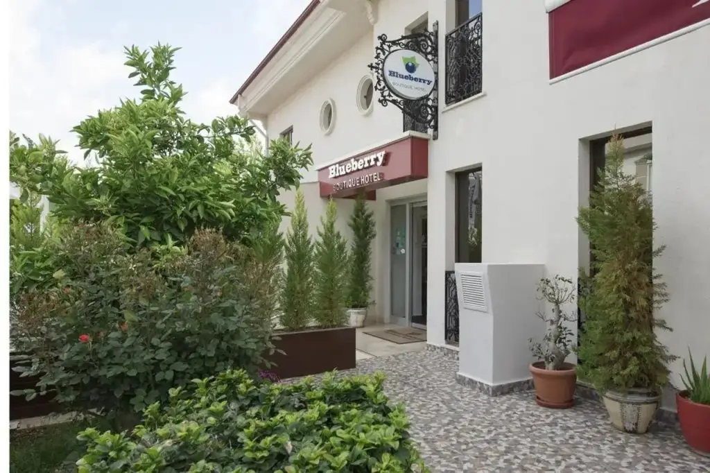 Blueberry Boutique Hotel — фото 1