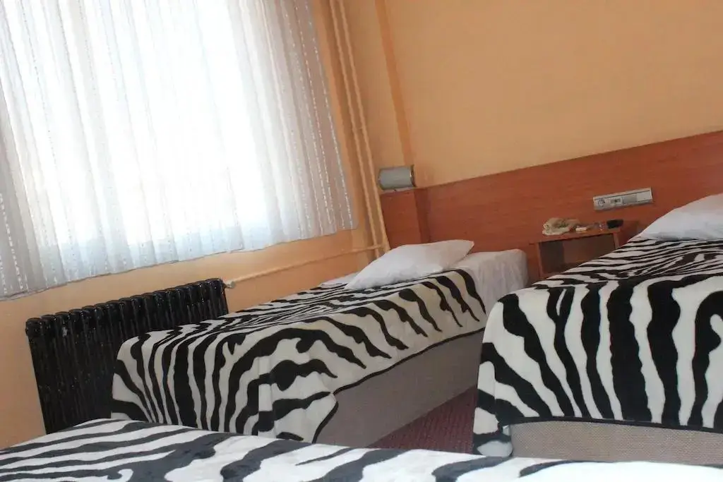 Измит: Hotel Altinnal
