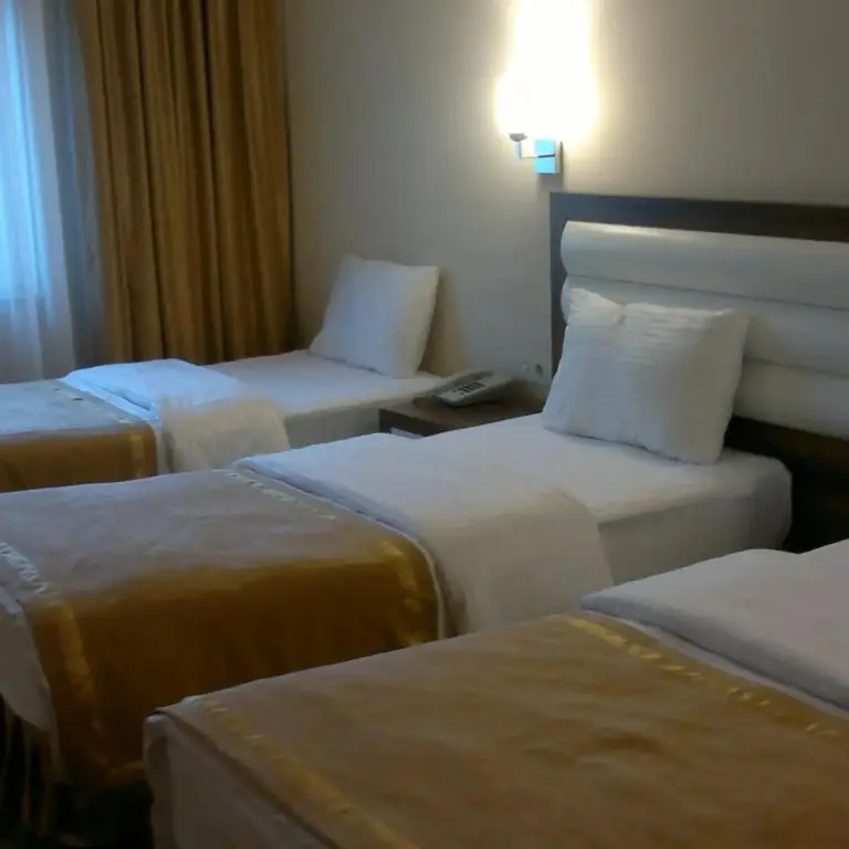 Аксехир: Ozpark Hotel