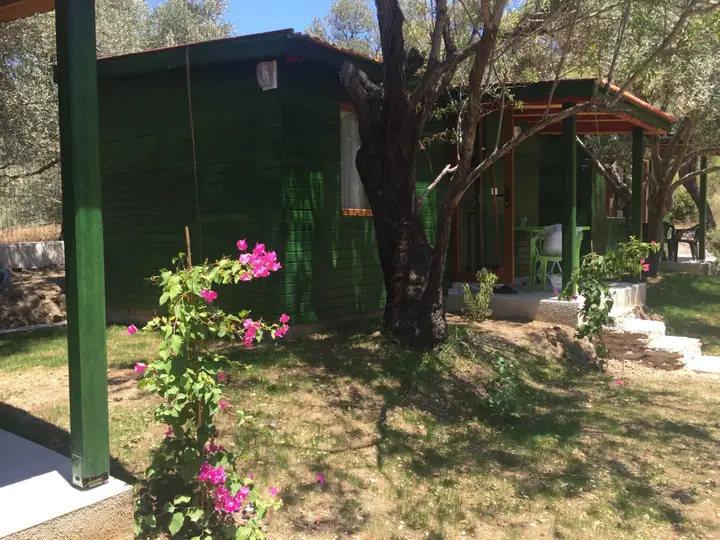 Датча: Отель My Bungalov