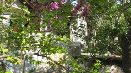 Айвалык: Ayvalik Dostlar Pansiyon