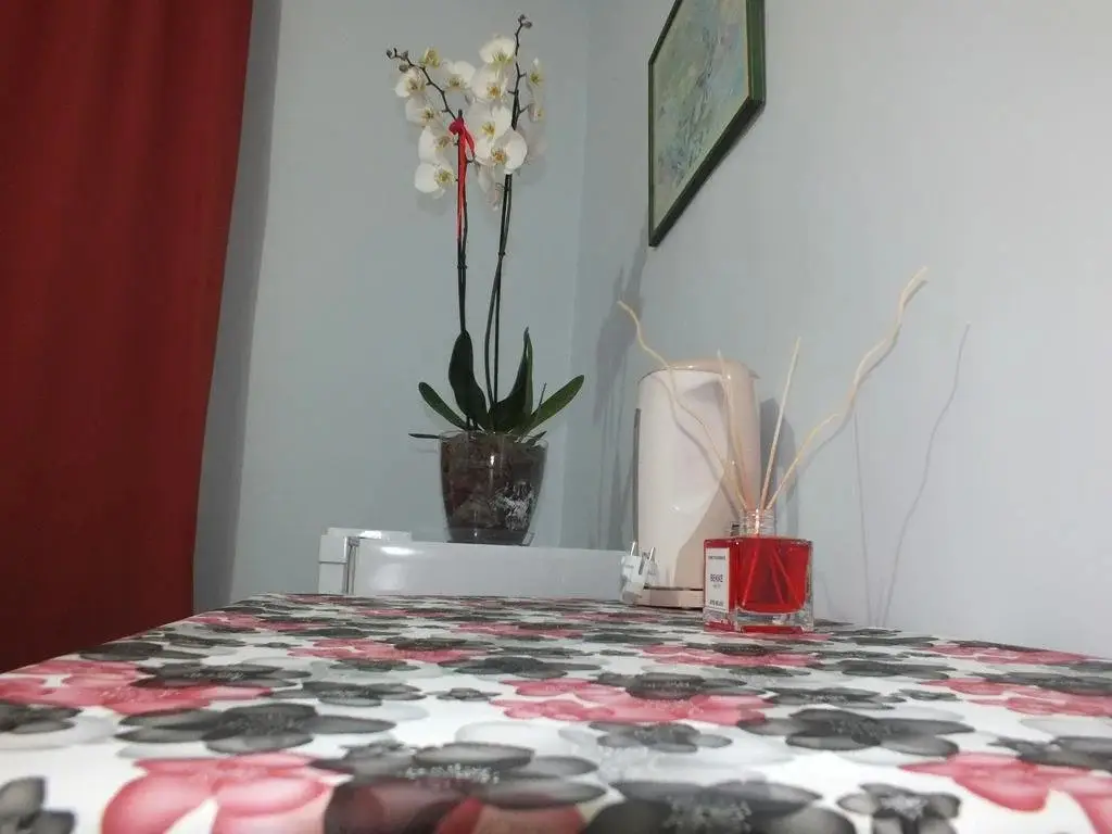 Стамбул: Tugra House