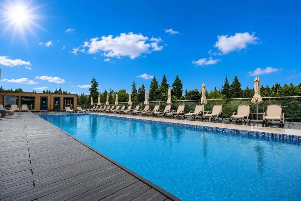 Пешки: LESNOY Park Hotel