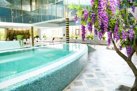 Отель Grand Wellness Hotel & Spa 5* — фото 1