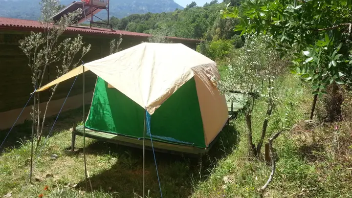Дальян: Sun Dalyan Yeni Adet Organic Certificated Mini-Hotel