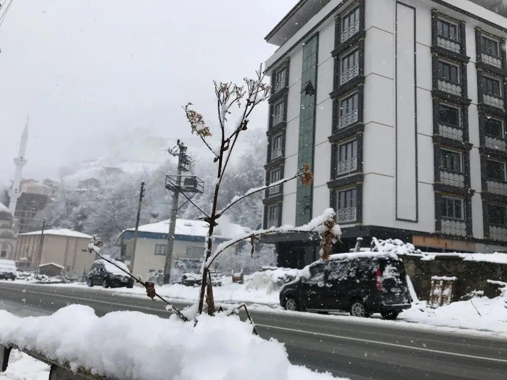 Golden Inn Hotel Uzungol — фото 1