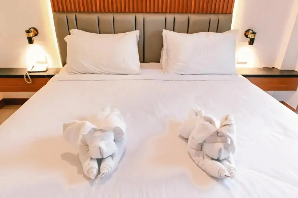 Удонтхани: President Hotel