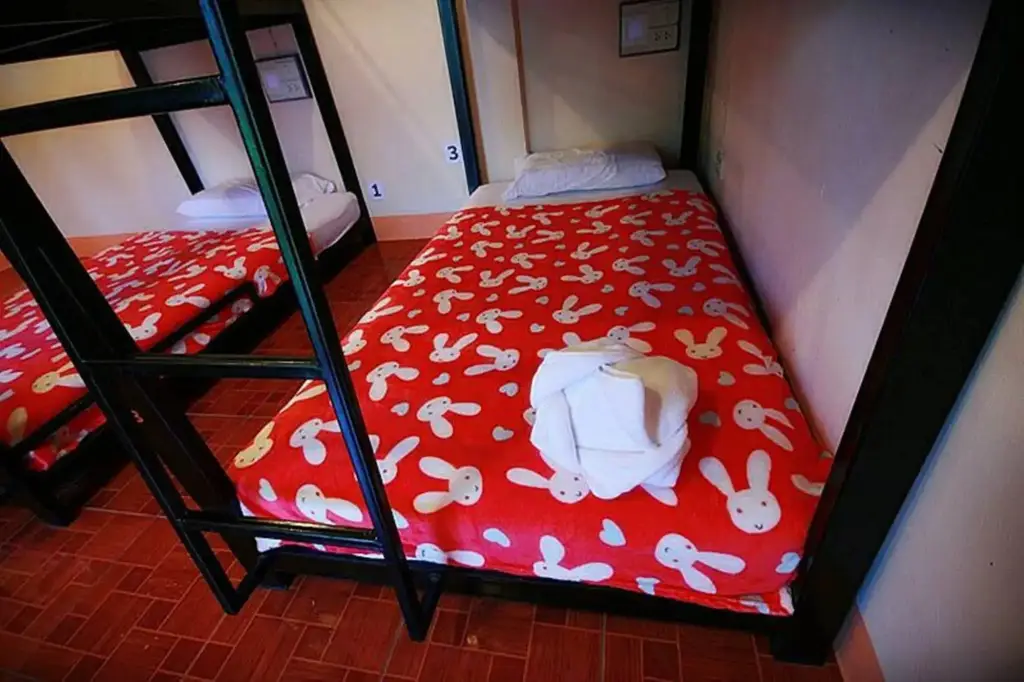 Остров Тау: Baan Chalok Hostel