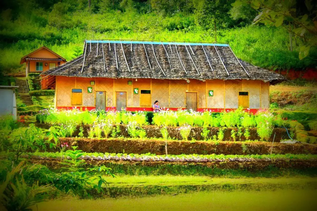 Mong Homestay Resort — фото 1