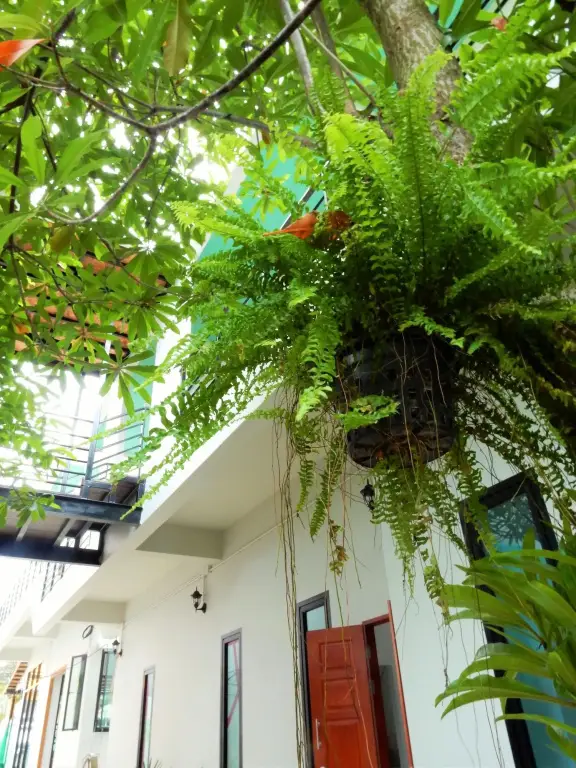 Wandee Bed and Breakfast - Hostel — фото 1