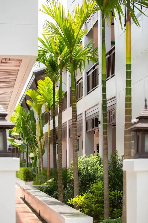 Чиангмай: Rimping Village Hotel