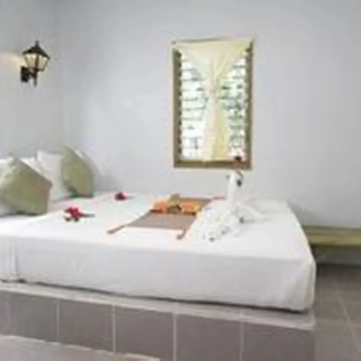 Ко-Пханган: Lime & Soda Beachfront Resort