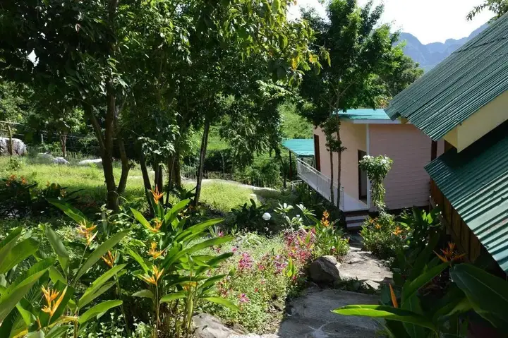 Пхи-Пхи-Дон: Phi Phi Jungle Hill Bungalow