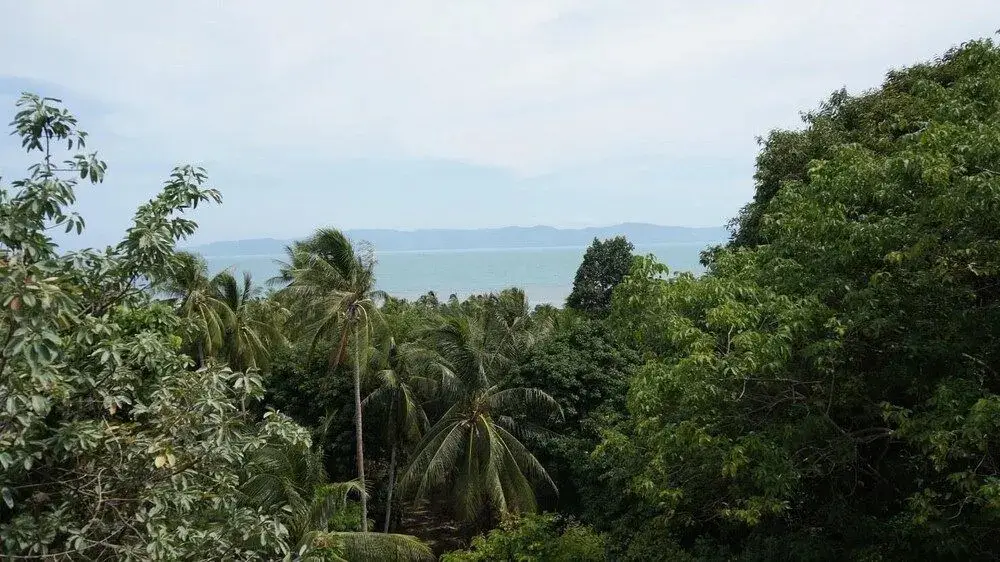 Ко-Пханган: Meridian Khao Tam Bungalow