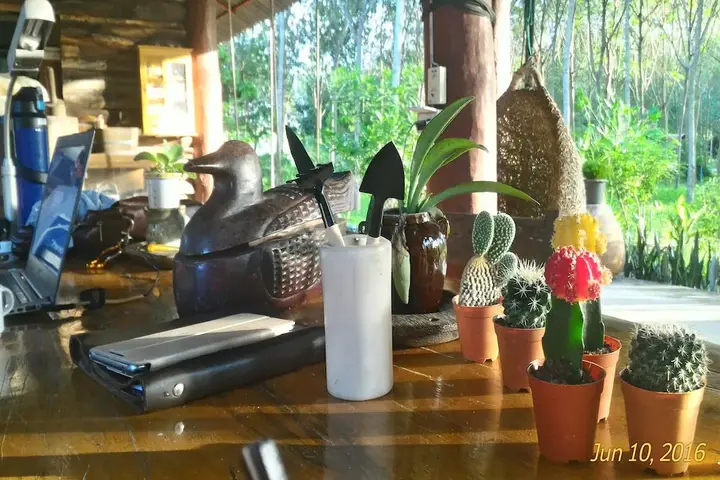 Районг: Farm stay 1000 Chang Valley