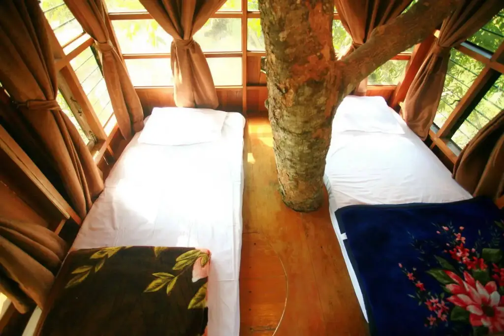 Паи: Pai Treehouse Resort