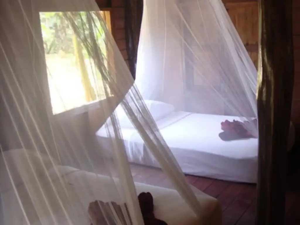 Фаном: Khao Sok Silver Cliff Resort