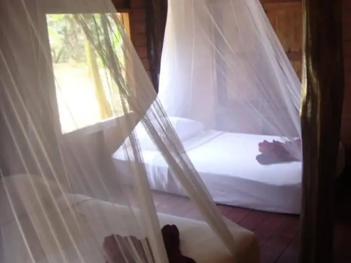Фаном: Khao Sok Silver Cliff Resort