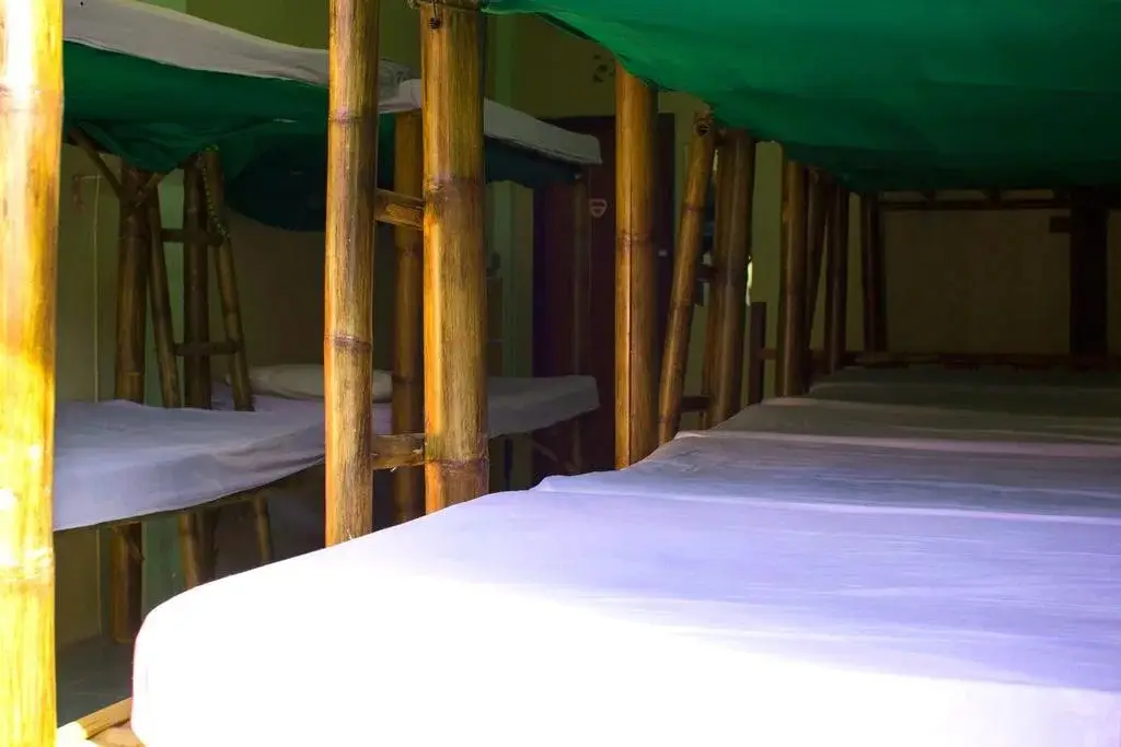 Ко-Пханган: Gallery Dormitory