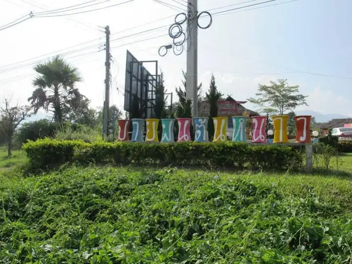 Паи: Paifon Tonnow