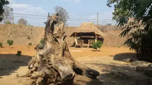 Чианг Дао: Doo-Dao-Doi Farm & Stay
