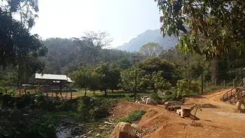 Чианг Дао: Doo-Dao-Doi Farm & Stay