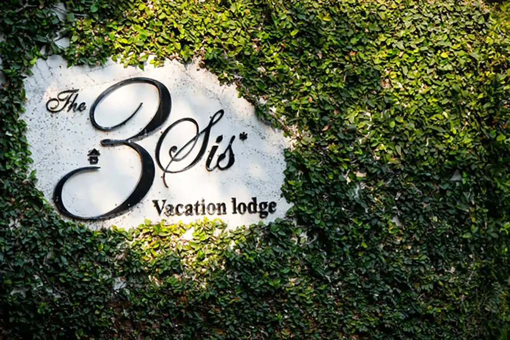 The 3 Sis — фото 1