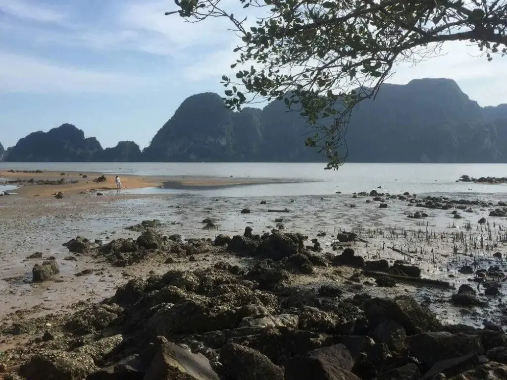 Краби: OYO Bulan Anda Baba Resort