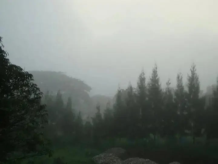 Нонг-Пан-Чан: Love Green