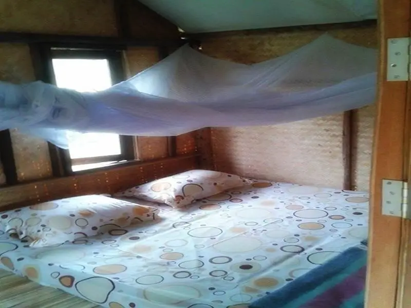 Паи: Cozy Pai