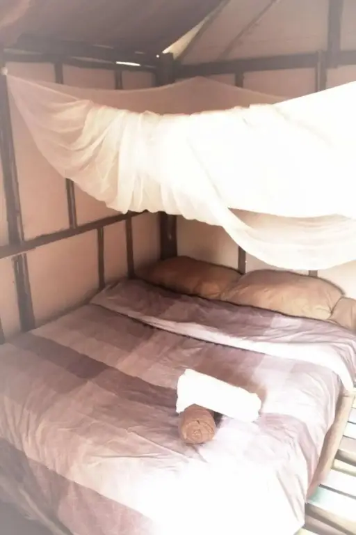 Паи: Purple Monkey Backpackers