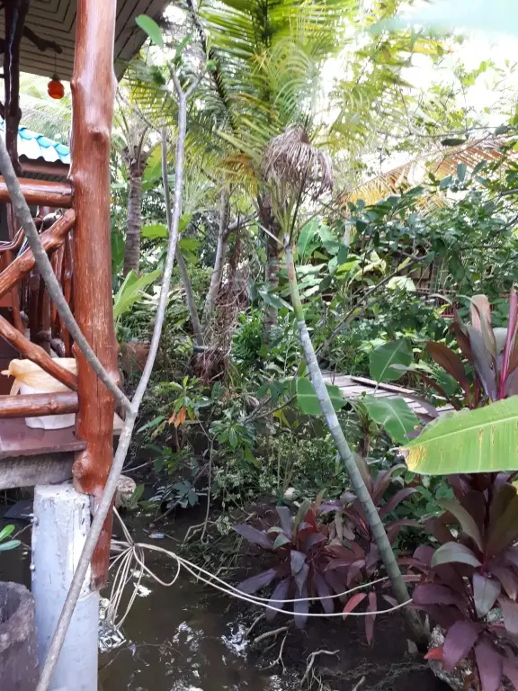 Ампхава: Sansuk Resort