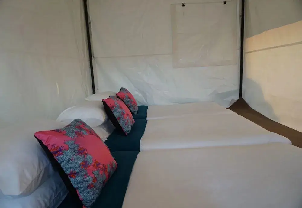 Чианграй: Singha Park Chiang Rai Camping