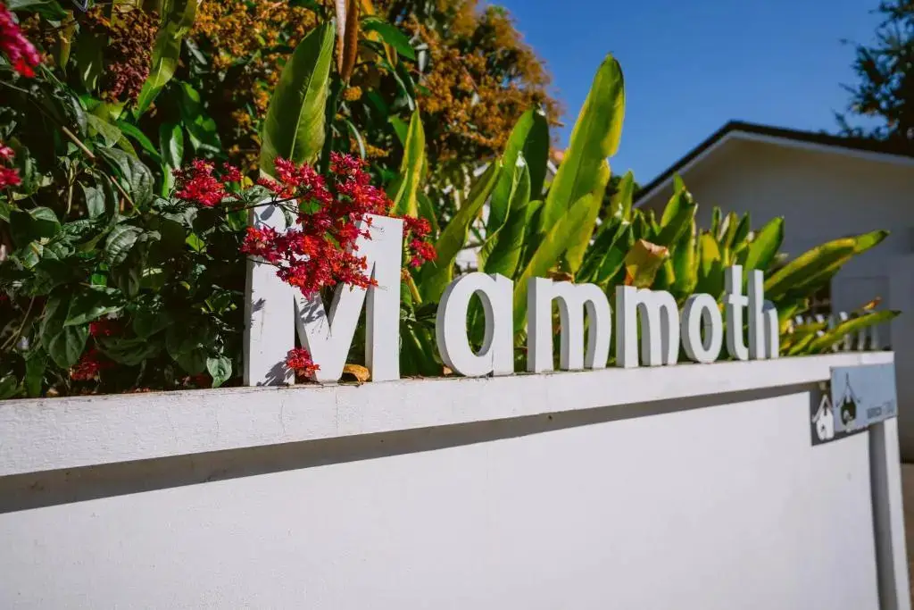 Mammoth Boutique Hotel — фото 1
